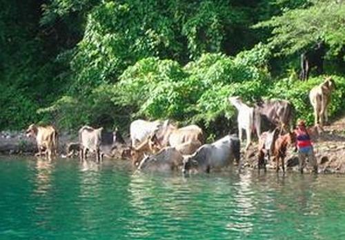 Voyage sur-mesure, Lagune d'Apoyo